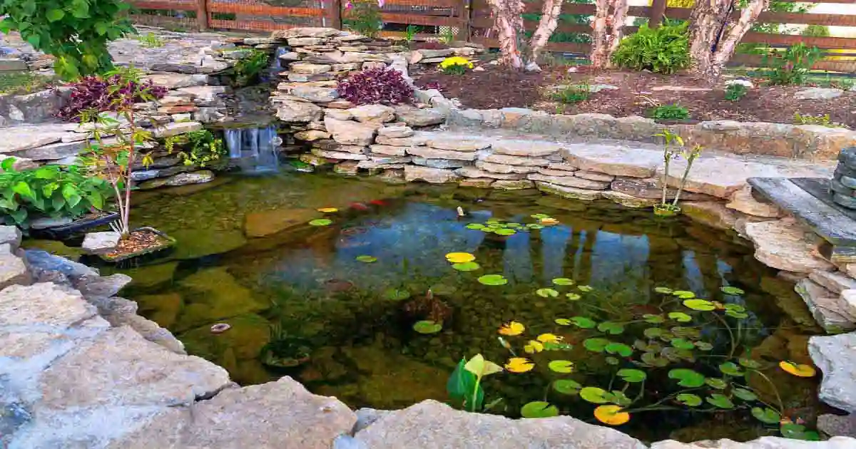 ultraviolet light for ponds